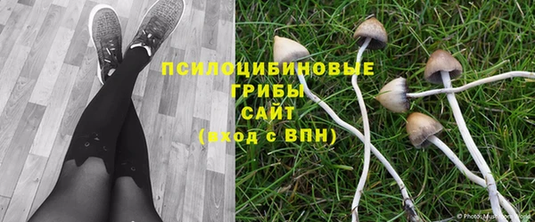 apvp Абинск