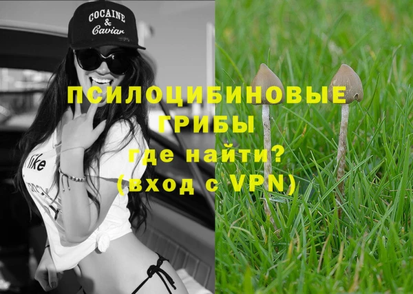 а пвп мука Абдулино